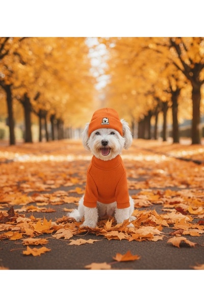 Lokums طقم ملابس أساسية للكلاب وقبعة للكلاب - قماش ناعم، طقم دافئ للشتاء