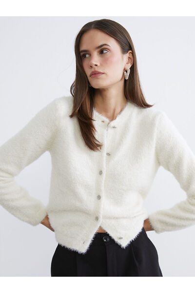 LC Waikiki Vizyon New Season Crew Neck Women's Knitwear Cardigan