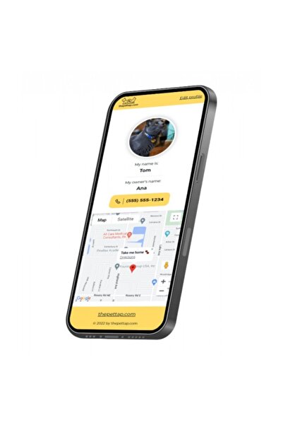 Golden cat The Pet Tap Smart Pet NFC ID Locator Tags