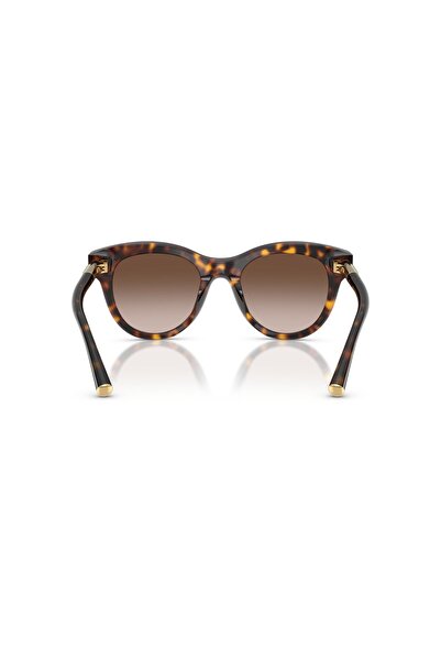 Dolce&Gabbana Dolce & Gabbana Sunglasses Dg4518 52 502/13