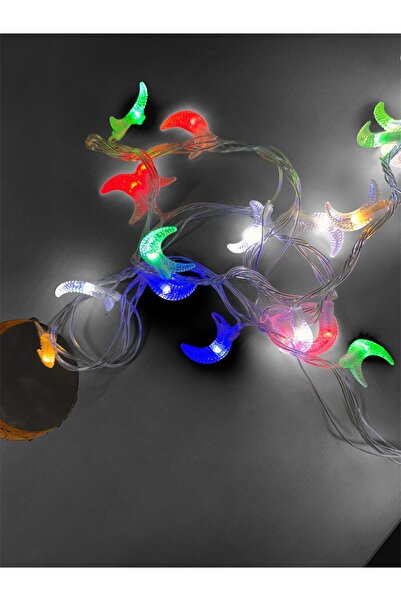 OEM Christmas LED light installation crescent moon, 5 m, 50 bulbs – Multicolor RGB