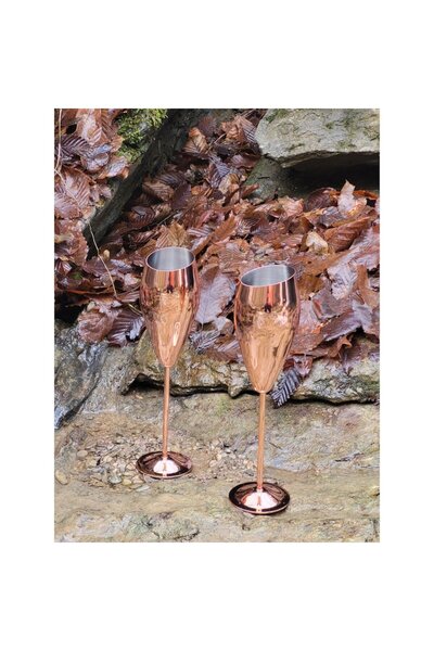 Nabi Market Set of 2 Stainless Steel Tulip Champagne Glasses - Rose, 250 ml