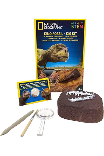 NATIONAL GEOGRAPHIC Dinozor Kazı Seti - Çocuklar İçin Büyüleyici Kazı Setleri, Replika T-Rex Dişi