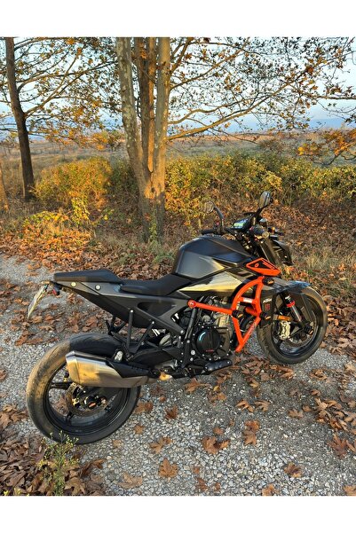 arslanpower Ktm duke 990 koruma demiri