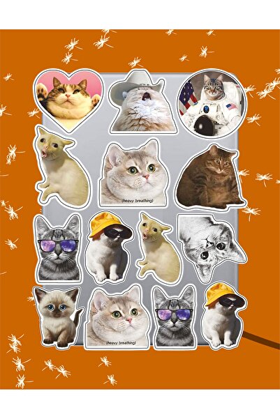 hediyenebak مجموعة ملصقات مضحكة بتصميم القطط |   ملصق للكمبيوتر المحمول والكمبيوتر الشخصي والتابلت والهاتف والدفتر ومجلة البوليت جورنال