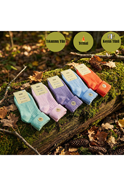 Luxia Kadın Kıvrık Lambswool Yün Bot Çorabı 5'li Paket