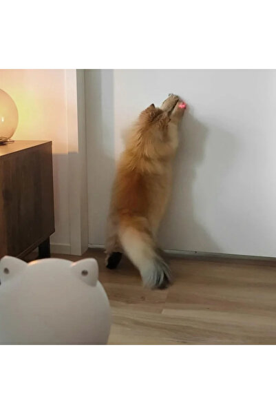 Gonga Petoneer Smart Dot Laser Toy for Dogs and Cats, Eye Pattern, Gonga® White