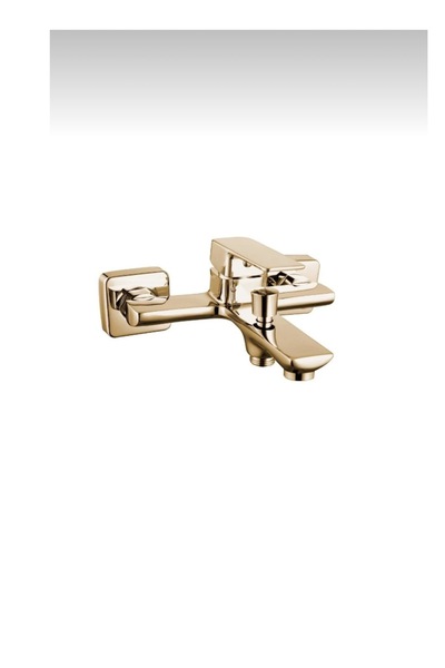GOLD KARE BANYO BATARYASI