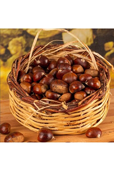 TicaretDenizi Aydın Kestanesi İri Taneli Doğal Orman Kestanesi 1. Kalite 250 Gr