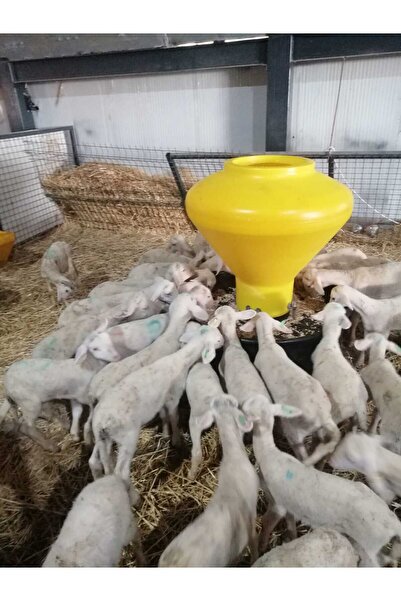 Plastik Akıllı Yemlik