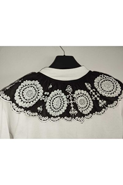 PL Black and white collar