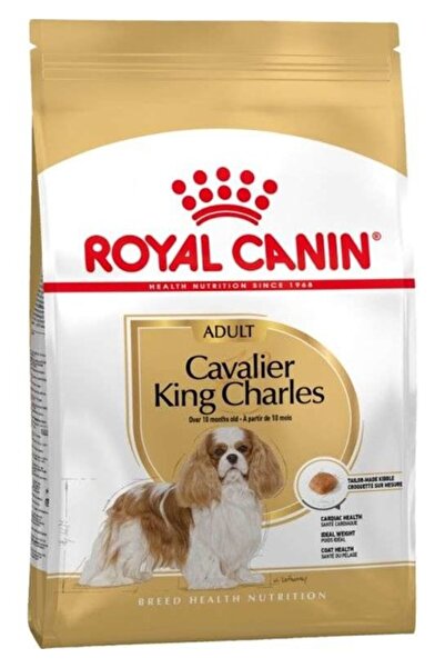 Royal Canin Yetişkin King Charles Tavuklu Köpek Maması 1,5 kg