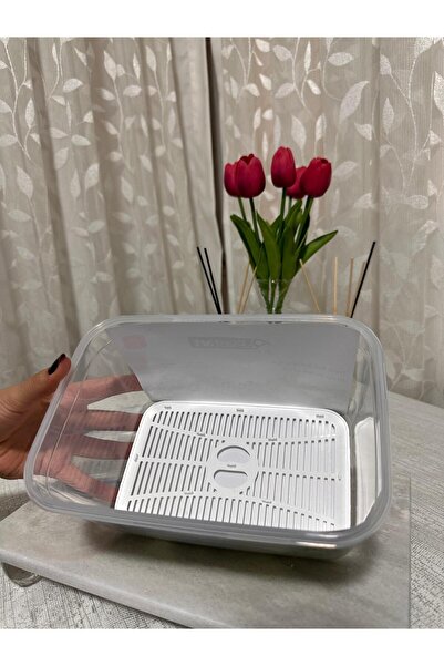 Plastard 2.4 Liter Fresh Box Storage Container with Multi-Purpose Strainer and Vacuum Lid