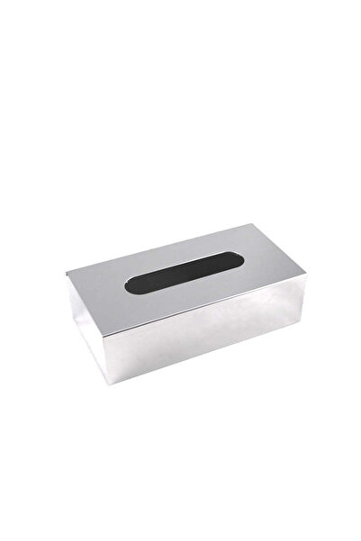 Easton Rectangular stainless steel tissue box