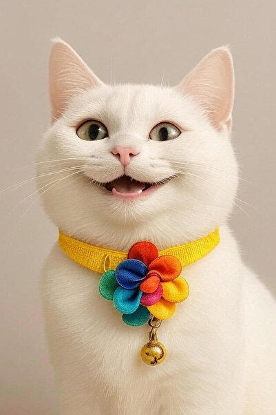 MIT Cat Collar Double Bell Floral Rainbow Yellow