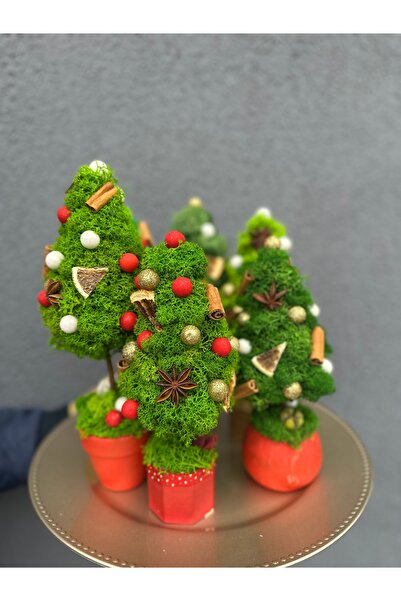 Christmas Fir tree decorated with lichen