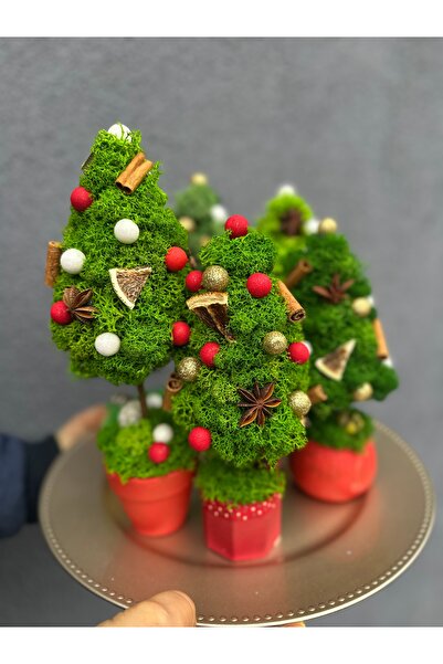 Christmas Fir tree decorated with lichen