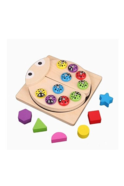 MONTESORİ Wooden Educational Toy, Montessori Type, Ladybug
