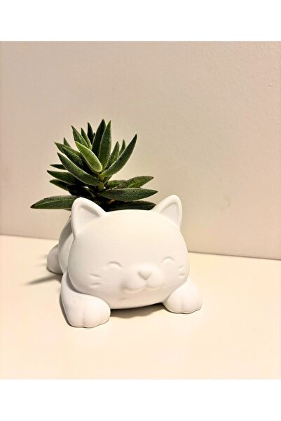 MelisArt3D Dünyası Kedi Motifli Sukulent Saksısı