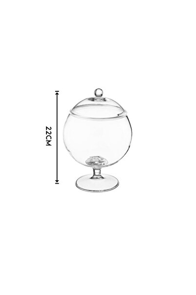 ABAREEK Versatile dessert serving bowl set with lid and base, attractive design (3 pieces), clear/gold