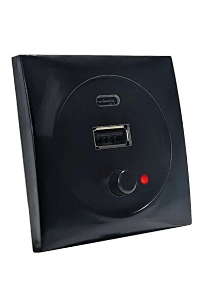 BatSystem Port USB 12/24 V negru,