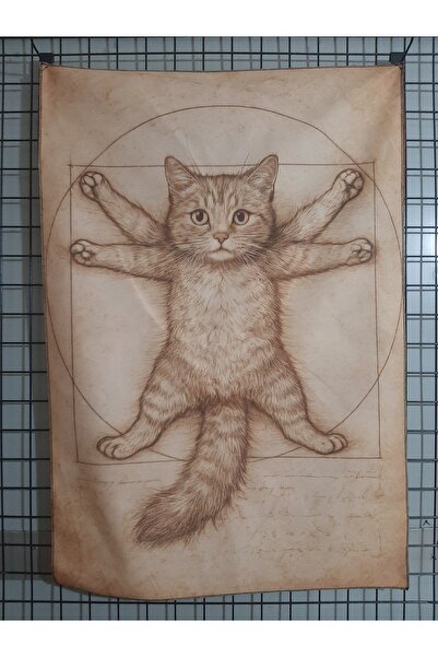 OWLBAG COMPANY OWL BAG Vitruvian pisică Tapiserie de perete cu design modelat