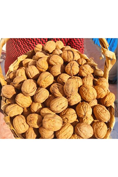 DOĞALINDAN DALINDAN %100 YERLİ KABUKLU CEVİZ (İnce Kabuk) 500 Gr.