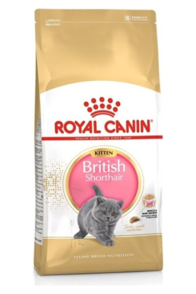 Royal Canin Kitten British Shorthair Yavru Kedi Maması 2kg