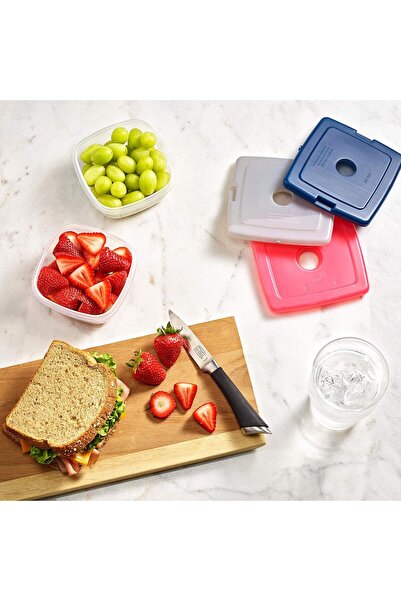 Fit + Fresh Fit & Fresh Slim Reusable Ice Packs, 4-Pack Multi-Color (Model 336HLJP)