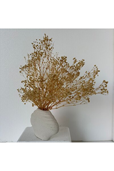 MirageBotanics Dried Gypsophila Arrangement in Modern Textured Ceramic Vase – Minimalist Home & Office Decor