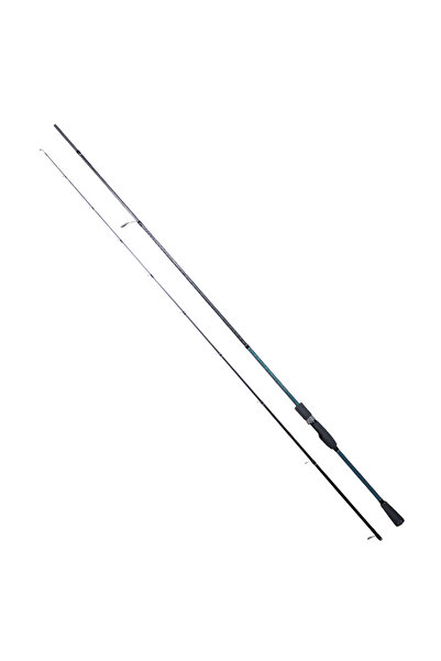 RYUJI Black Sea Fuji Jigging ( SP ) 180cm 90-280gr 2 Parça Jig Kamışı