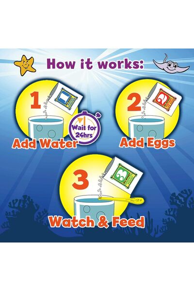 Sea-monkeys Sea Monkeys Ocean Zoo Playset (Model 80482)