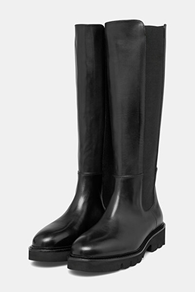 W Collection ÇİZME