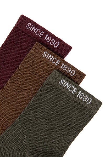 U.S. Polo Assn. Boy's Burgundy Socks 50318041-Vr177