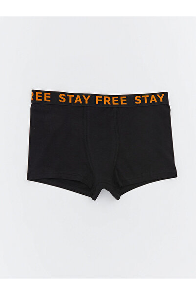 LC Waikiki Boxeri pentru băieți cu imprimeu Özmarka New Season