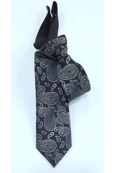 Louis Kids Premium Collection Shawl Pattern Boys' Tie