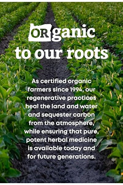 Oregons Wild Harvest Oregon's Wild Harvest Organic Oregon Grape Capsules, 90 Count