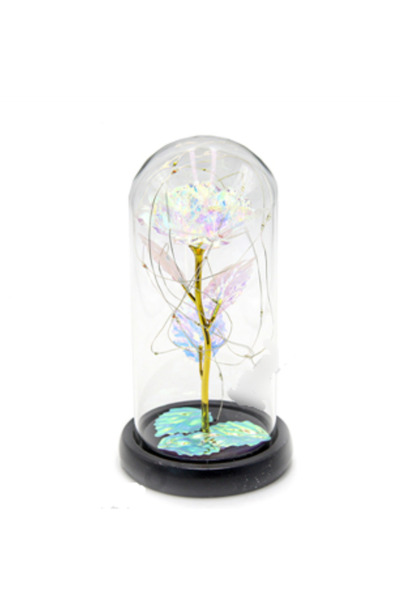 Crioflowers Galaxy Led Rose Dome
