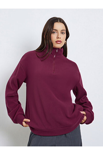 Styli Regular Fit Sweatshirt with Quarter Zip