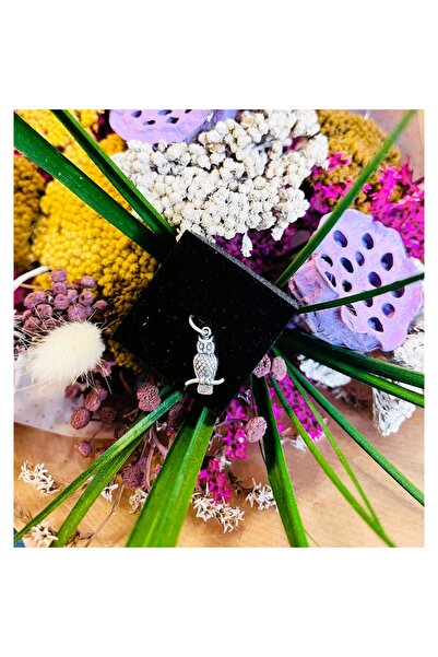 Jolie Silver Pandantiv, Argint Jolie, Argint 925, Bufniță pe Creangă, 1.4 g, 2 x 1 cm