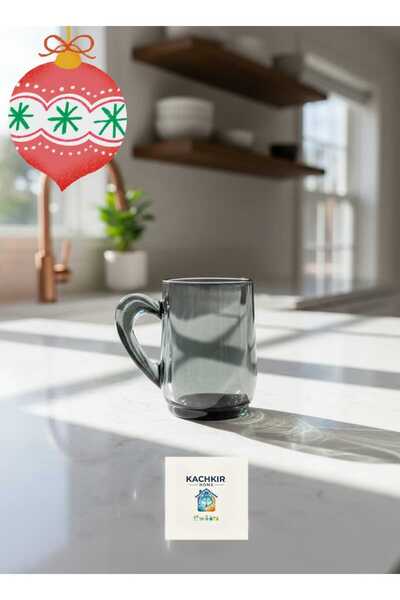 Paşabahçe Renkli Cam kulplu Kupa Bardak 55521 tek kişilik GRİ Renk