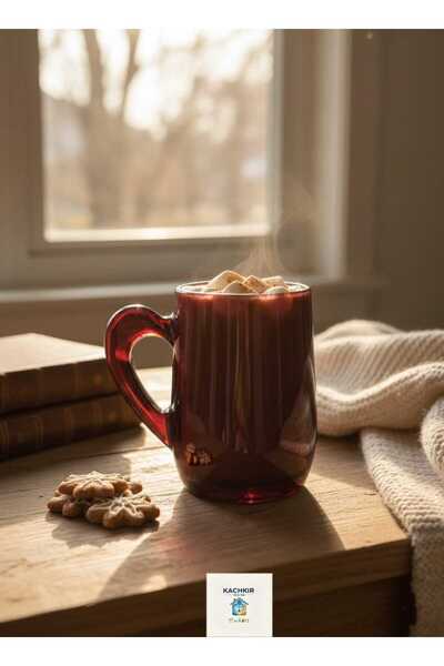 Paşabahçe Renkli Cam kulplu Kupa Bardak 55521