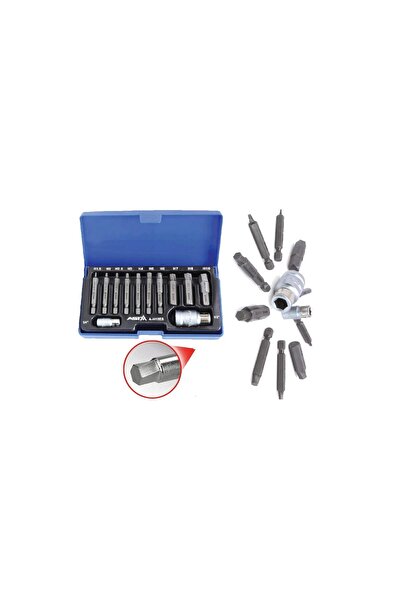 SATRA Set biti hexagonali 1/4", 1/2", pentru suruburi uzate, 12 piese, Asta