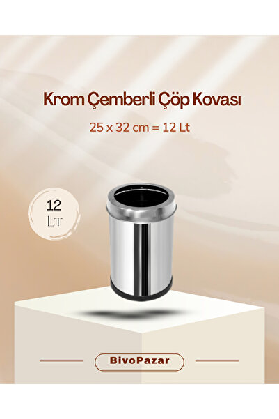 Palex 12 Lt Trash Can with Chrome Circle, Stylish and Durable Metal Design