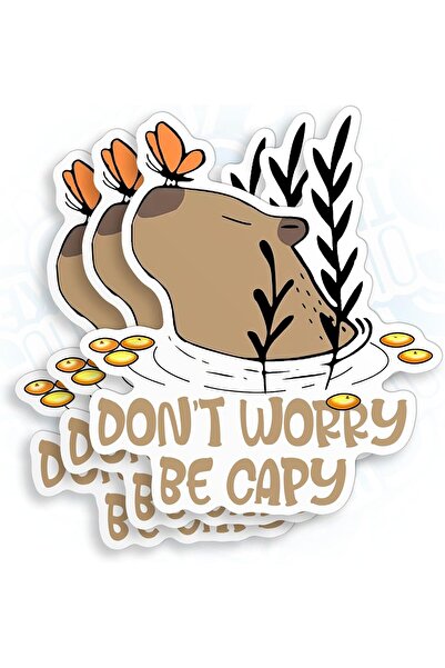 ALAYRA International (3 قطع) ملصق فينيل "لا تقلق كن كابي" مقاس 3 بوصات