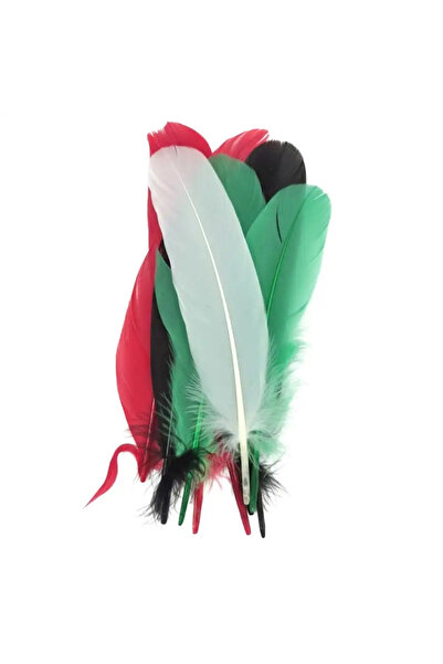 Generic UAE Flag Colored Large DIY Craft Goose Feather For National Day Decoration- 12pcs