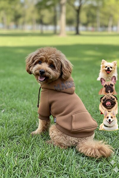 salya store Small Breed Hooded Brown Dog Hoodie, Small Breed Dog Clothes
