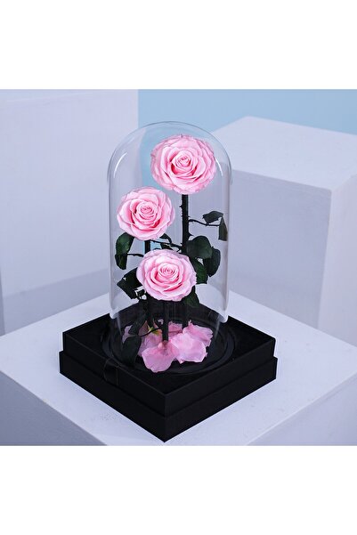 Carmel Flowers مجموعة فوريفر بينك 3 قطع