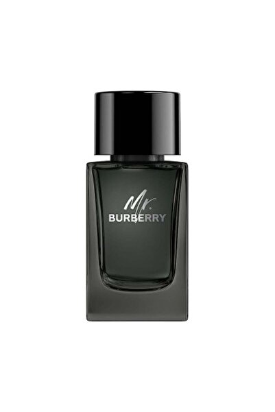 BURBERRY Mr. Burberry Eau de Parfum (100ml, without carton)