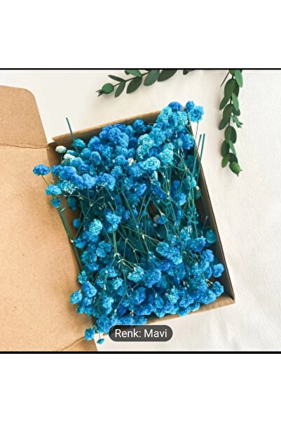 Masal Tasarım Mavi mini cipso süslemeler için Nişan söz magnet süsleme dekora...